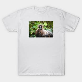 Silk Rooster 4 / Swiss Artwork Photography T-Shirt